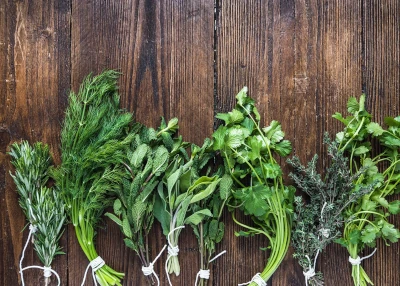 Bundles of fresh herbs on a wooden table