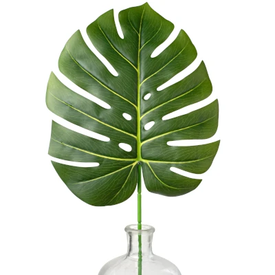 Monstera leaf in a glass vase