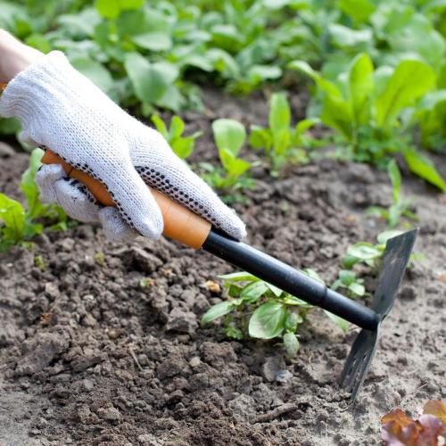 gardeningtools